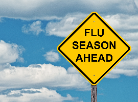  Flu Season